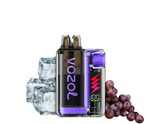 Vozol Vista Plug 10000 Starter Kid | Grape Ice