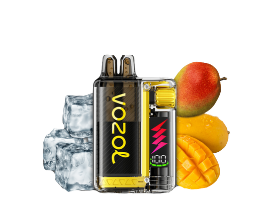 Vozol Vista Plug 10000 Starter Kid | Mango Ice