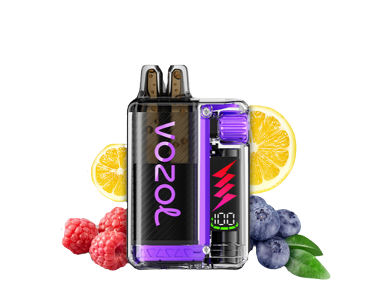 Vozol Vista Plug 10000 Starter Kid | Blueberry Raspberry Lemon