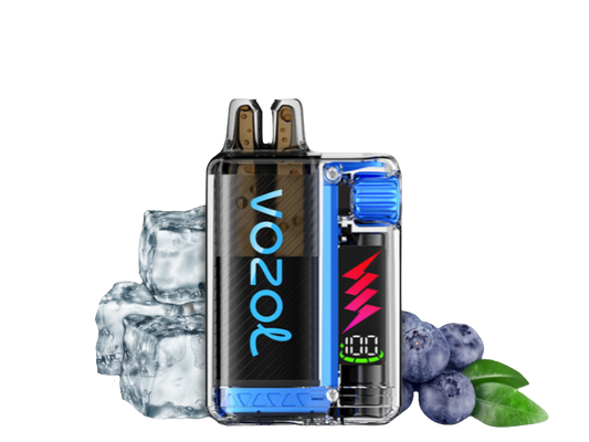 Vozol Vista Plug 10000 Starter Kid | Blueberry Ice